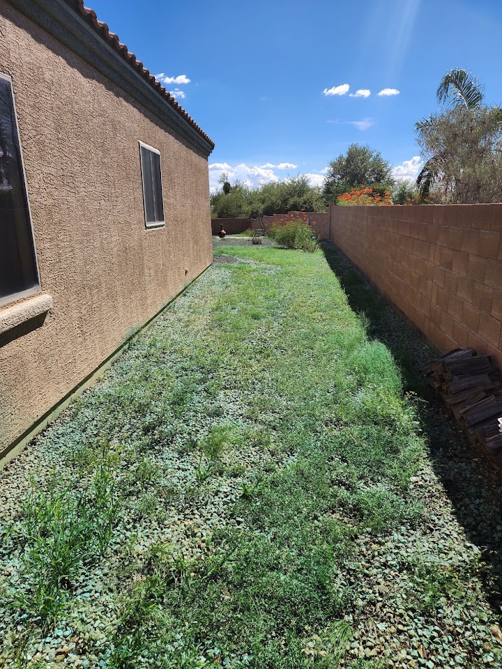 Rincon Weed and Pest Control project