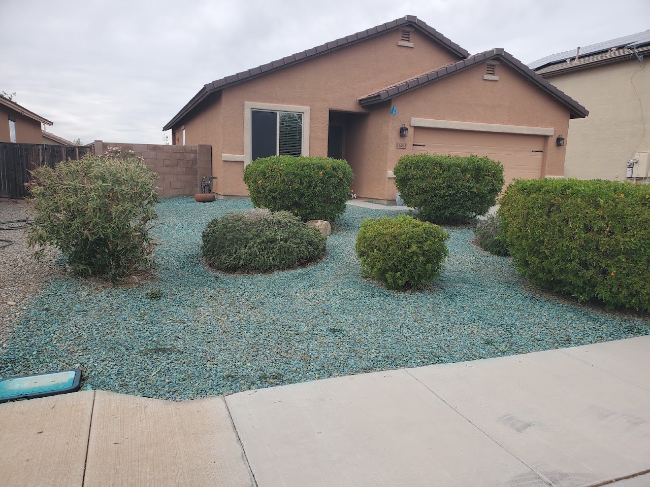Rincon Weed and Pest Control project